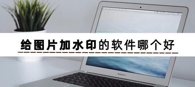 如何在照片中添加文字水印？（掌握关键技巧，保护你的照片版权）