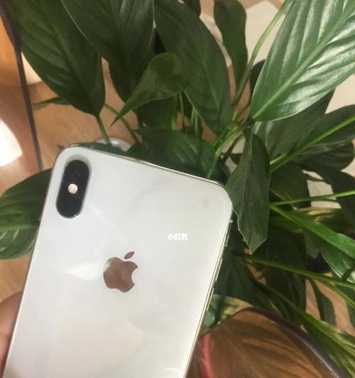 iPhoneXsMax网页分屏教程（如何在iPhoneXsMax上使用网页分屏功能，轻松实现多任务处理）