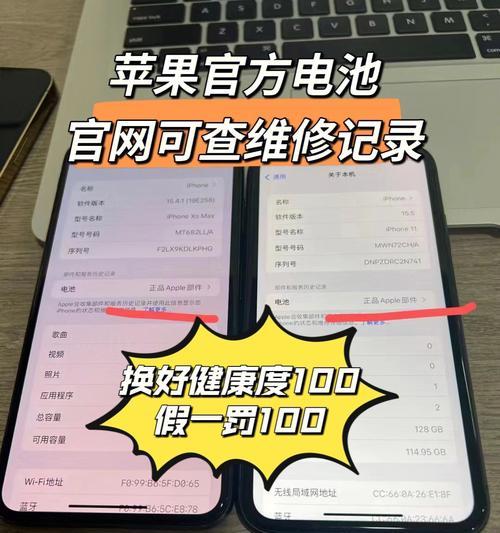 掌握iPhoneXS电量查看方法的技巧（从电池健康到应用使用，教你轻松掌握iPhoneXS电量管理的秘诀）