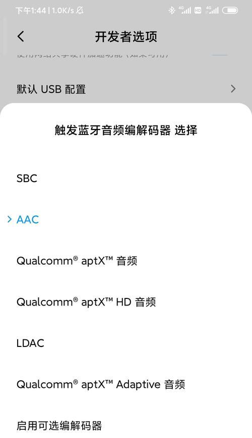 小米10开发者选项的功能与设置详解（探索小米10开发者选项，轻松定制个性化设置）