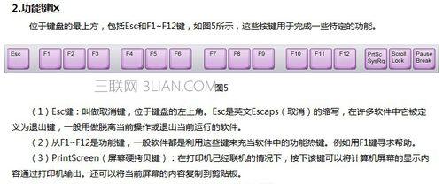 电脑键盘功能基础知识（掌握键盘的基本操作技巧）