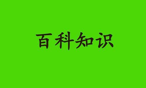 怎样免费ppt模板制作（免费ppt制作软件推荐）