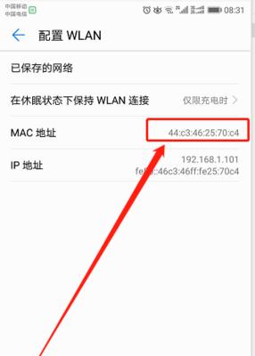 如何查看电脑的MAC地址信息（掌握关键信息）