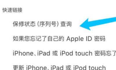 如何通过iPhone查询激活时间（快速轻松地获取iPhone激活时间的方法）