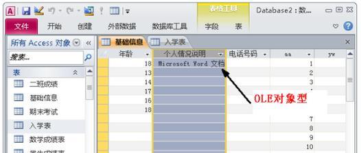 探究Access数据库的对象（深入了解Access数据库的主要对象及其作用）