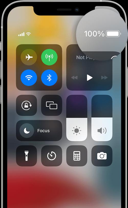 如何查看苹果电池健康度（掌握电池健康度的关键指标）