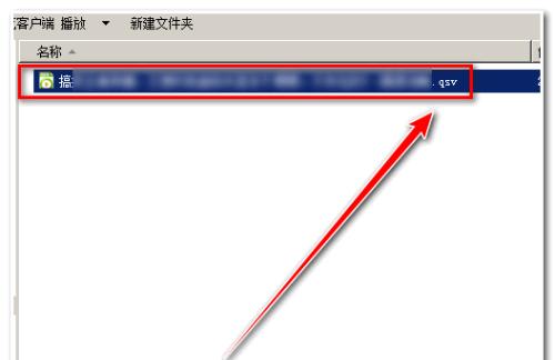 解析QSV文件的结构和内容（了解QSV文件格式及其应用领域）