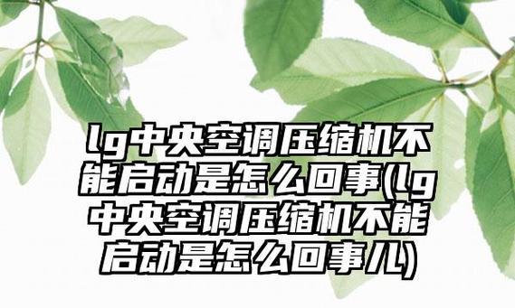 解析LG中央空调面板故障及维修方法（探究LG中央空调面板故障的原因和解决方案）