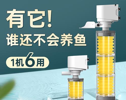 水养鱼，净水器的妙用（打造清新水族乐园）