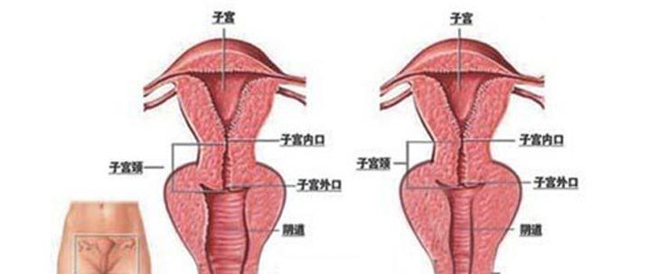 如何恢复以私密图库隐藏的照片（轻松找回被隐藏的珍贵照片）