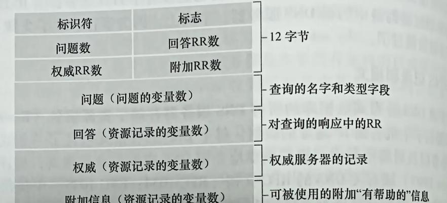 路由器设置中的DNS（深入了解DNS的功能和设置）