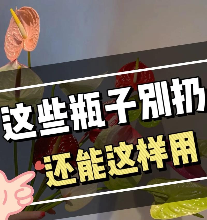 手机解锁小妙招？遇到忘记密码怎么办？