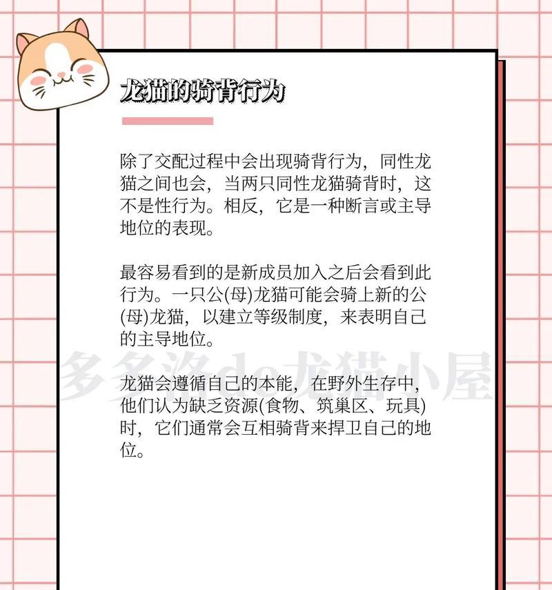 宠物进阶指南？如何训练宠物成为更聪明的伙伴？