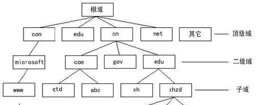 谷歌DNS在苹果笔记本怎么设置？版本差异解析！